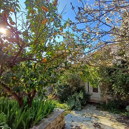 's Old Town Traditional House Holiday home Nikiti (Sithonia)